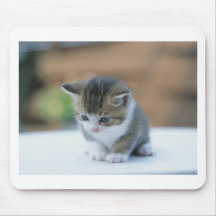 Cute Kitten Mousepads