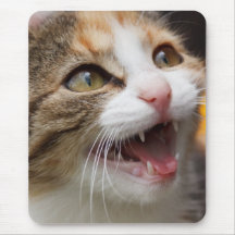 Cute Kitten Mousepads