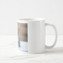 Cute Kitten Mug