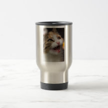 Cute Kitten Mugs