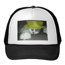CUTE KITTY CAT HATS