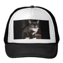 Cute Kitty Mesh Hat