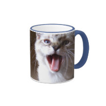 cute kitty mug