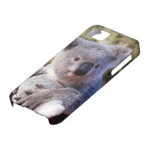 Cute Koala Bear Case-mate 4 Iphone Case iPhone 5 Cases