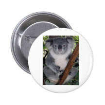 CUTE KOALA BEAR PIN