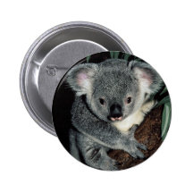 Cute Koala Bear Pins