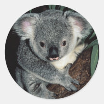 Cute Koala Bear Round Stickers