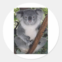 CUTE KOALA BEAR STICKERS
