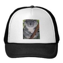 CUTE KOALA BEAR TRUCKER HATS
