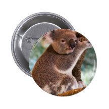 Cute Koala Button