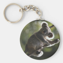 Cute Koala Climbing Key Chains