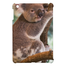 Cute Koala iPad Mini Cases