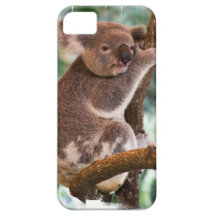 Cute Koala iPhone 5 Covers