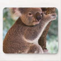 Cute Koala Mouse Pad