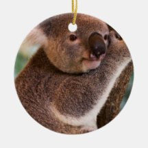 Cute Koala Ornament