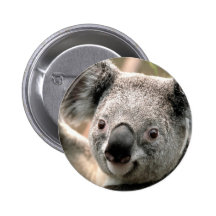 Cute Koala Pin
