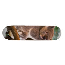 Cute Koala Skateboard