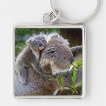 Cute Koalas Keychain