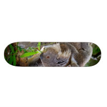 Cute Koalas Skateboard