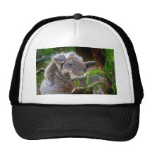 Cute Koalas Trucker Hat