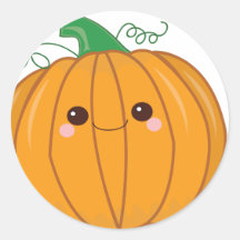 Cute Lil Pumpkin Round Stickers