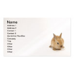 cute_little_babies_9 BABY BUNNY RABBIT CUTE FURRY Business Card Templates