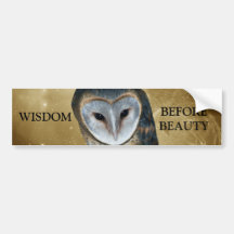 Cute little Barn Owl Bumper Stickers
