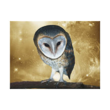 Cute little Barn Owl Canvas Print