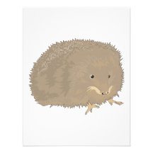 cute little brown hedgehog invitations