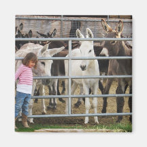 Cute Little Girl and Donkeys Refrigerator Magnets
