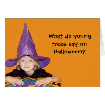 Cute Little Halloween Witch Greeting Cards