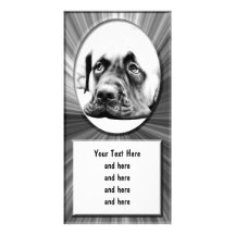 Cute Mastiff Personalised Photo Card