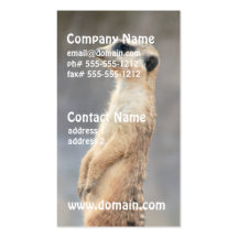 Cute Meerkat Business Cards