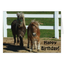 Cute Miniature Horse Birthday Card