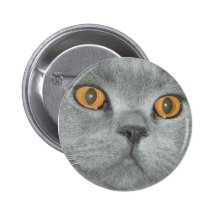 Cute Orange Eyed Kitty Button