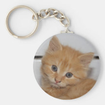 Cute Orange Tab Kitty Keychains
