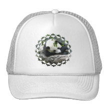 Cute Panda Baseball Hat