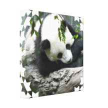 Cute Panda Canvas Print