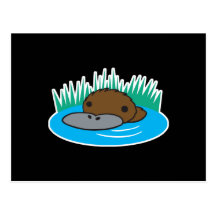 cute peeking platypus postcards