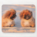 Cute Pekingese Dogs Mousepad