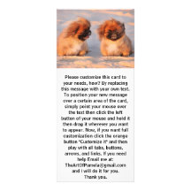 Cute Pekingese Dogs Personalised Rack Card
