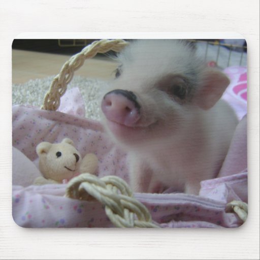 Cute Piglet Mousemat