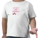 Cute pink lady bug girl's birthday t-shirt