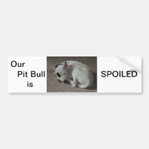 Cute pit bull bumper sticker