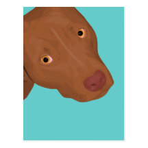 Cute Pit Bull portrait Postcard