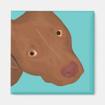 Cute Pit Bull portrait Refrigerator Magnet