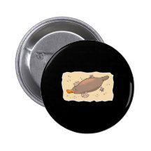 cute platypus in the sand pin