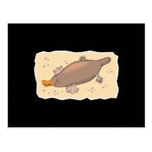 cute platypus in the sand post card