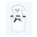Cute Pocket Puppy Dog Post Card