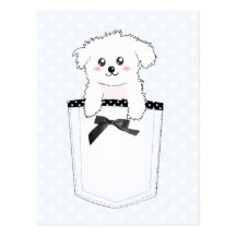 Cute Pocket Puppy Dog Post Card
